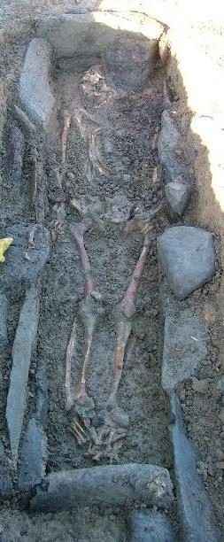 Click on image to see full-sized version One of Tara's Ancestors wrenched from the Sacred Burial Grounds at Tara. NRA photo