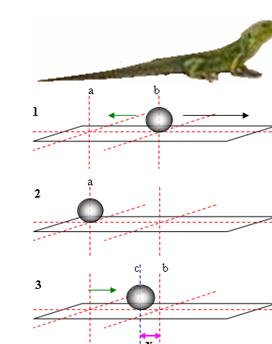 Click on image to see full-sized version Picture 3