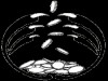 bscoin.gif
