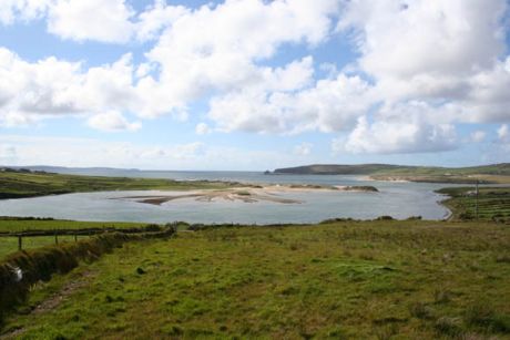 Click on image to see full-sized version rossport_field11.jpg